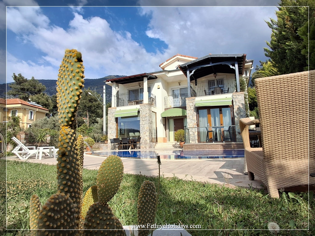 A08-ANGEL CROCUS VILLAS(7 PAX)