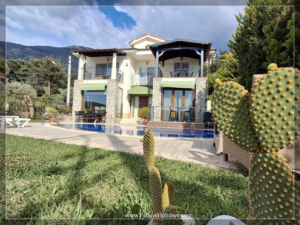 A08-ANGEL CROCUS VILLAS(7 PAX)