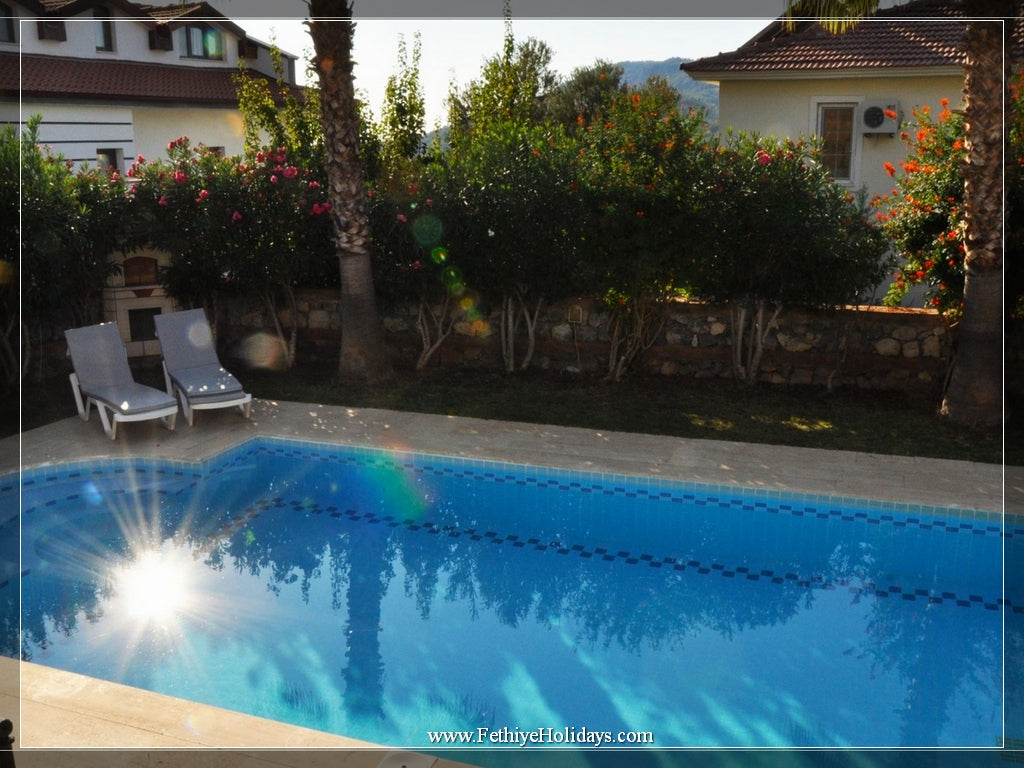 A13-ANGEL OLIVE VILLAS (6-PAX)