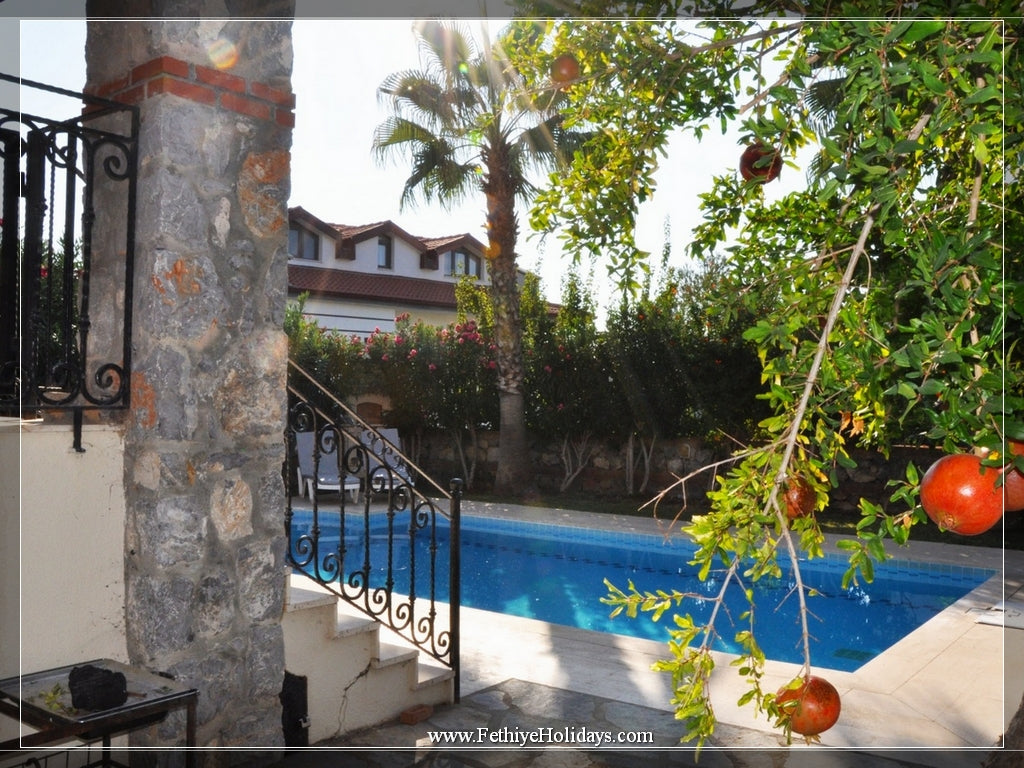 A13-ANGEL OLIVE VILLAS (6-PAX)