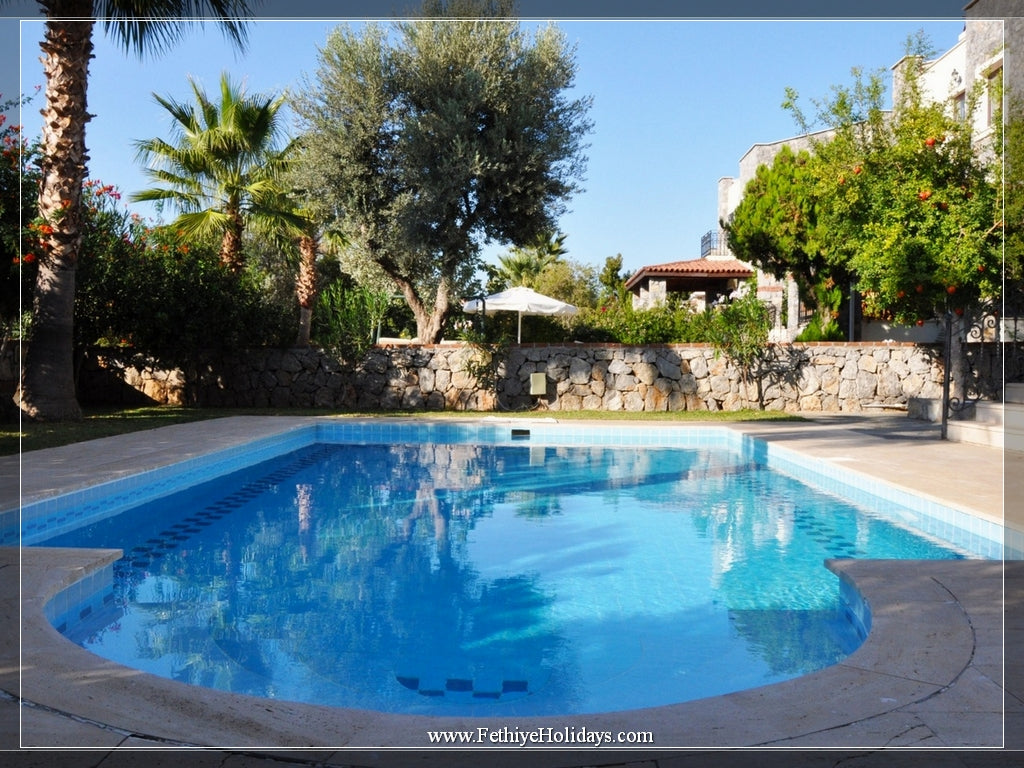 A13-ANGEL OLIVE VILLAS (6-PAX)