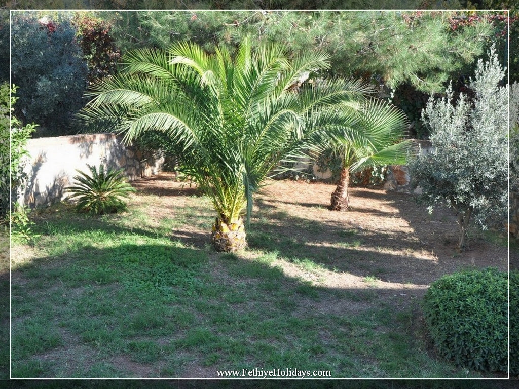 A18 - ANGEL SUNSETA VILLAS ( 6-PAX)