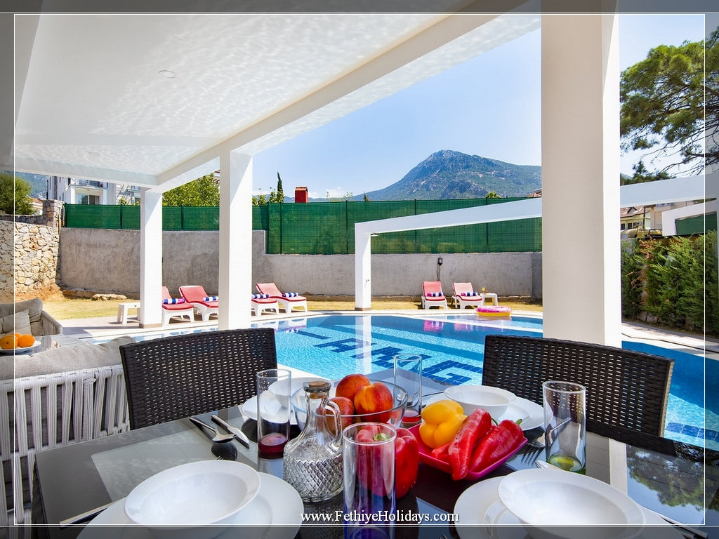 A23-ANGEL HISAR E VILLAS (8-PAX)
